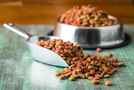 Europe pet food market.jpeg
